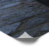 Poster Wall Street Bull (Coin)