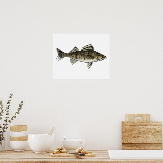 Poster Walleye (Cuisine)