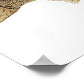 Poster Walleye Art (Coin)