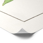 Poster Wallflower Plante, Fleur Jaune & Orange de Konan, (Coin)