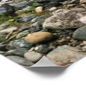 Poster Wallowa (Coin)