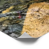 Poster Wallowa (Coin)