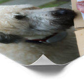 Poster Walls Print - Meat as Motivation (Coin)