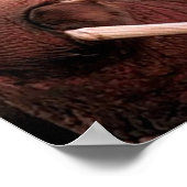 Poster Walrus (Coin)