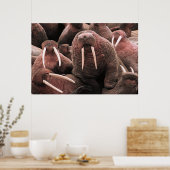Poster Walrus (Cuisine)
