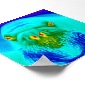 Poster walrus cool (Coin)