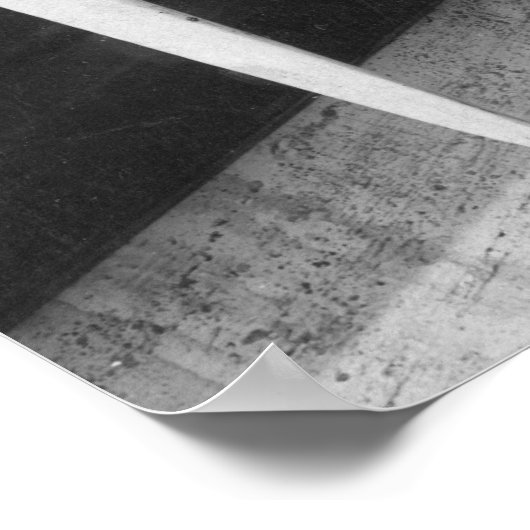 Poster Walrus Tusks : 1931 (Coin)