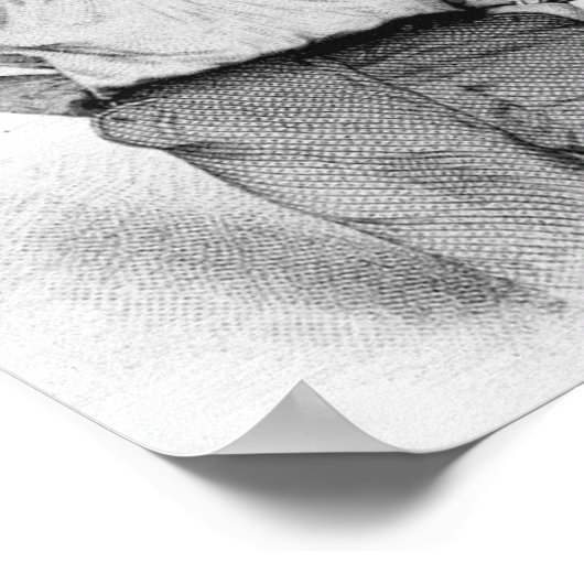 Poster Walt Whitman (Coin)