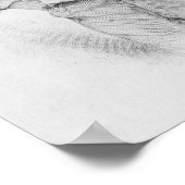 Poster Walt Whitman, frontispece aux "Feuilles de (Coin)