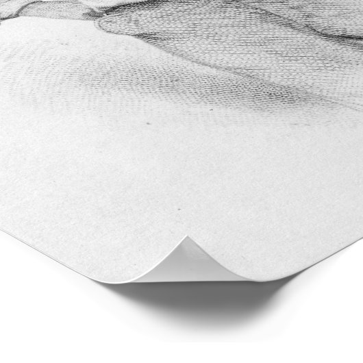 Poster Walt Whitman, frontispece aux "Feuilles de (Coin)