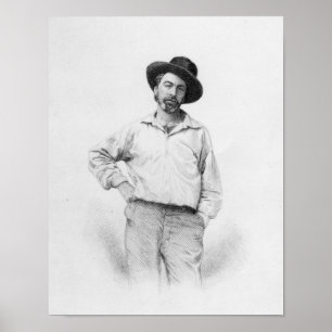 Poster Walt Whitman, frontispece aux "Feuilles de
