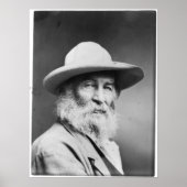 Poster Walt Whitman Portrait alias The Quaker Photo (Devant)
