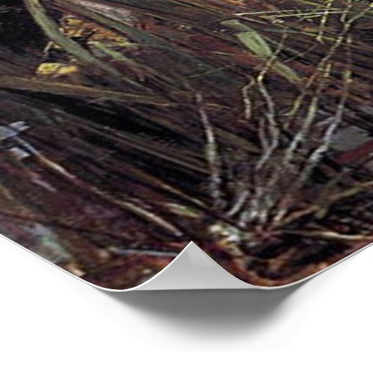 POSTER WALTER CRANE (Coin)