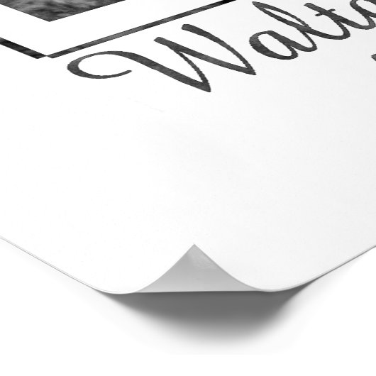 Poster Walter Whitman (Coin)