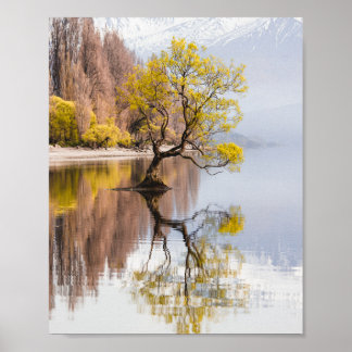 Poster Wanaka Tree Autumn Nature Paysage