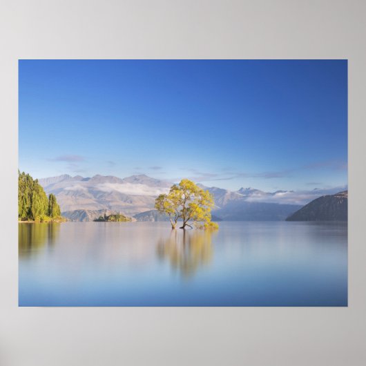 Poster Wanaka Tree Nouvelle-Zélande Paysage Photographie (Devant)