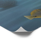 Poster Wanda et Pufferfish (Coin)