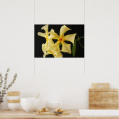 Poster Wapa Fleur de Jasmine Star (Cuisine)
