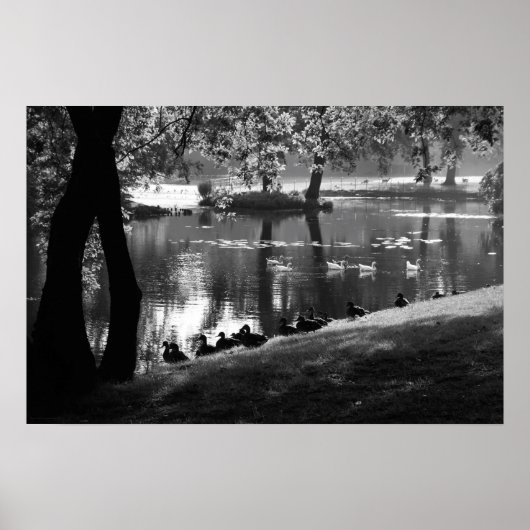 Poster Wapa Park Life (Devant)