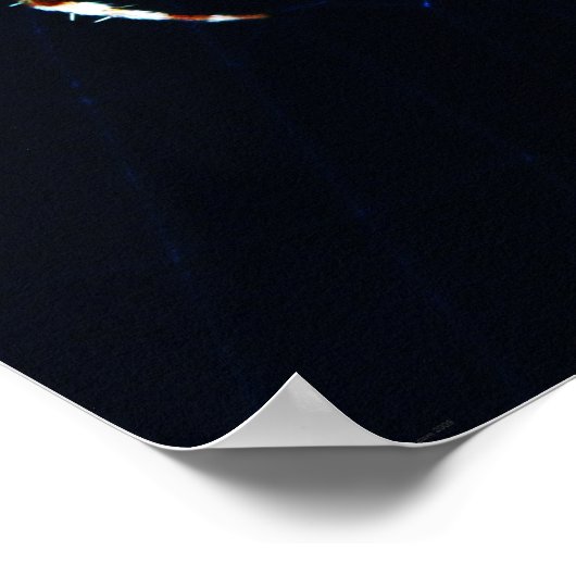 Poster Wapcn Araignée européenne (Coin)