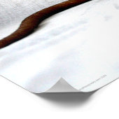 Poster Wapcna de rat (Coin)