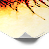 Poster Wapcna des yeux (Coin)