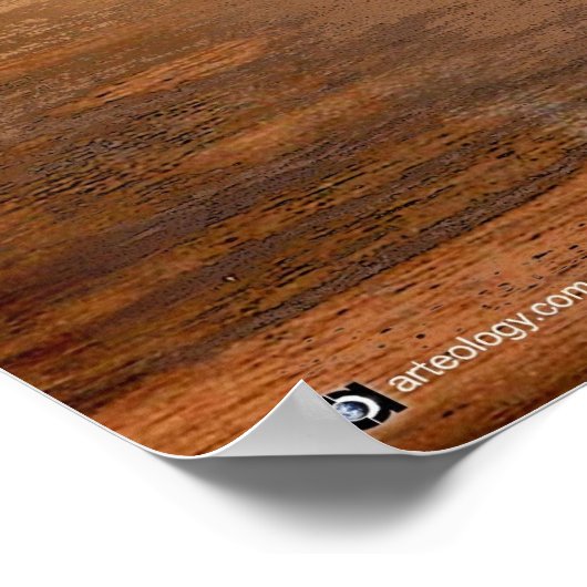 Poster wapiti (Coin)