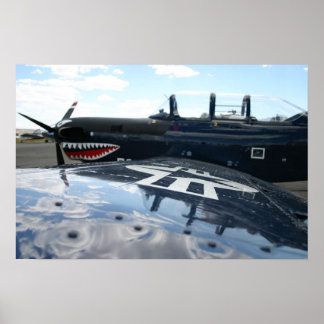 Poster Warbird