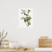 Poster Warbling Vireo par Audubon (Cuisine)
