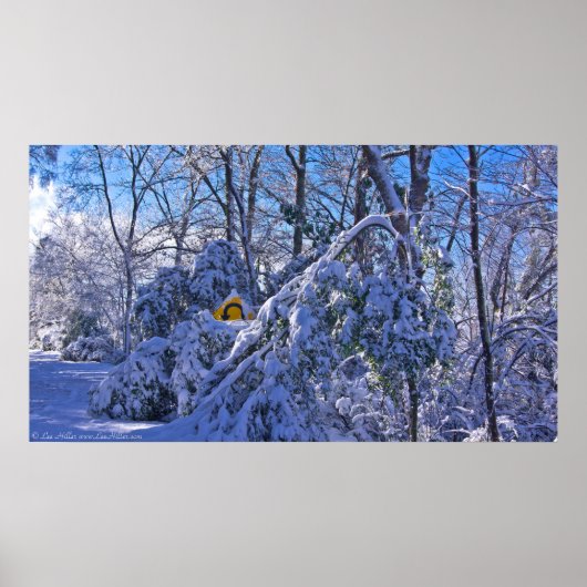 Poster "Warning Sharp Bend" dans l'affiche de neige (Devant)