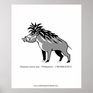 Poster Warty PIG - Animal en voie de disparition - Guerri