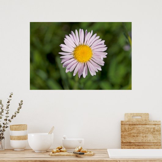 Poster Washington, Cascade Range, Mont Baker (Cuisine)