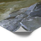 Poster Washington Crossing the Delaware (Coin)