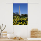 Poster Washington Monument Daffodils (Cuisine)