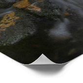 Poster Washington, Parc national du Mont Rainier 2 (Coin)