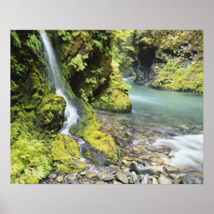 Poster Washington, Parc National Olympique, Saisonnier