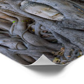 Poster Wat Mahathat Bouddha Head (Coin)