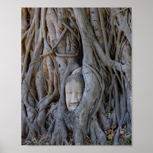 Poster Wat Mahathat Bouddha Head (Devant)