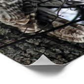 Poster Watchful Owl (Coin)