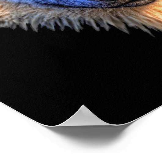 Poster Watchful Wolf (Coin)