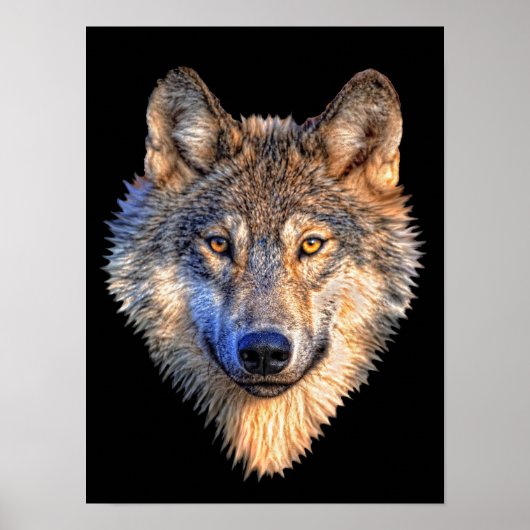 Poster Watchful Wolf (Devant)