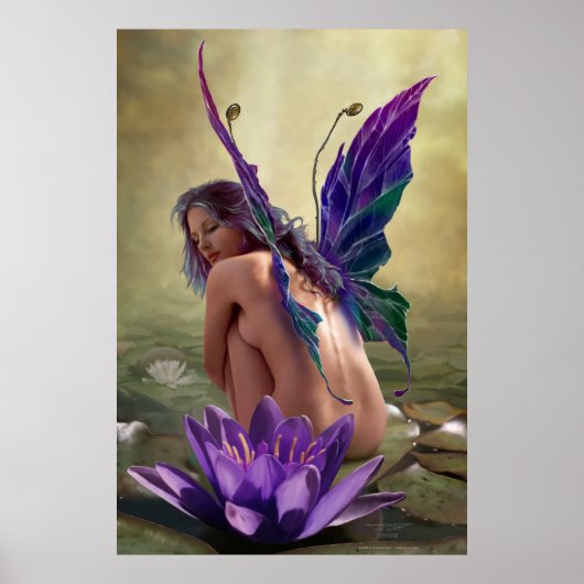 Poster Water Lily par J. Matthew Root (Devant)