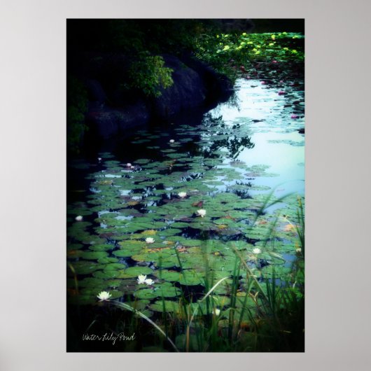 Poster Water Lily Pond :Archive Heavy Weight Paper (Devant)