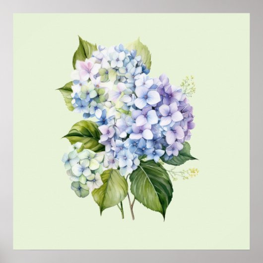Poster Watercolor Botanical Floral Hydrangea (Devant)