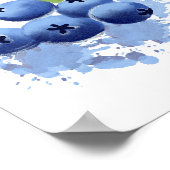 Poster Watercolor Hand-painted Blueberry Illustration  (Coin)