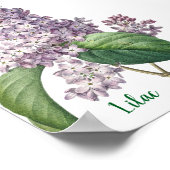Poster Watercolor Lavender Lilac Illustration (Coin)