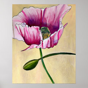 Poster Watercolor pink poppy art flower