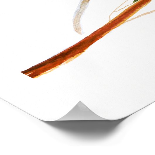 Poster Watercolor Robin Bird (Coin)