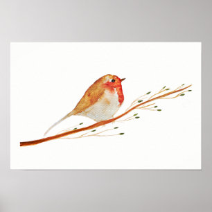 Poster Watercolor Robin Bird