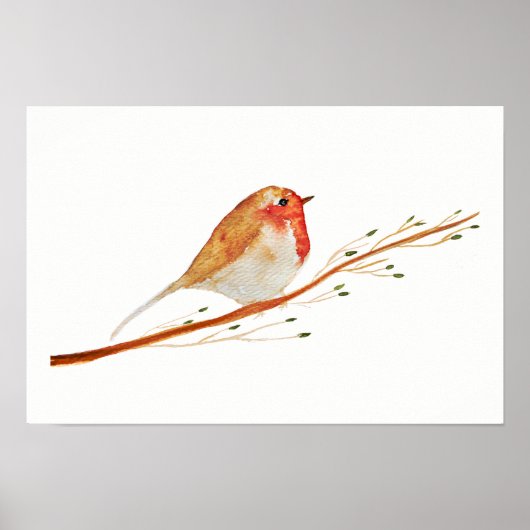 Poster Watercolor Robin Bird (Devant)